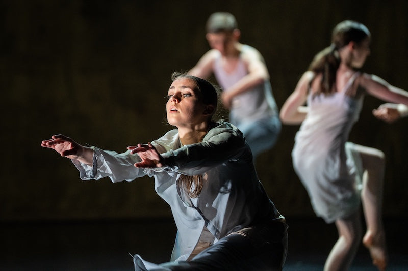 17. Virago Ein Viertel of Dance