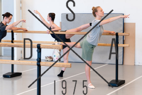 Lesson03 Classical for contemporary dancers Ralitza Malehounova C/D + 15 years