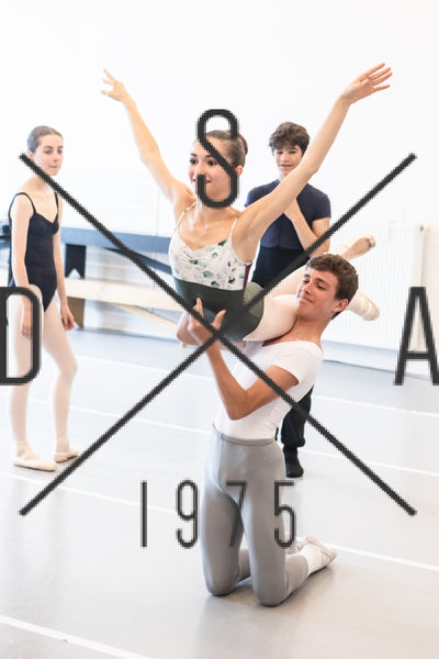 Lesson29 CLASSICAL pas de deux Julien Bancillon B/C + 13 years