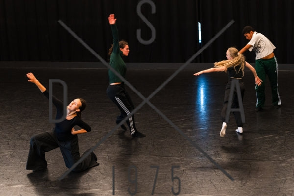 Lesson14+23 REPERTOIRE  Damien Jalet by Emilie Meeus &amp; Guido Badalamenti C/D + 14 years